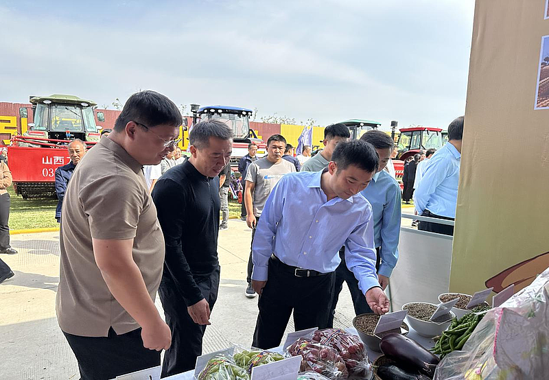 金秋盛宴 共慶豐收——韋莊鎮(zhèn)參加澄城縣“學(xué)習(xí)‘千萬工程’，禮贊豐收中國”2024年中國農(nóng)民豐收節(jié)活動